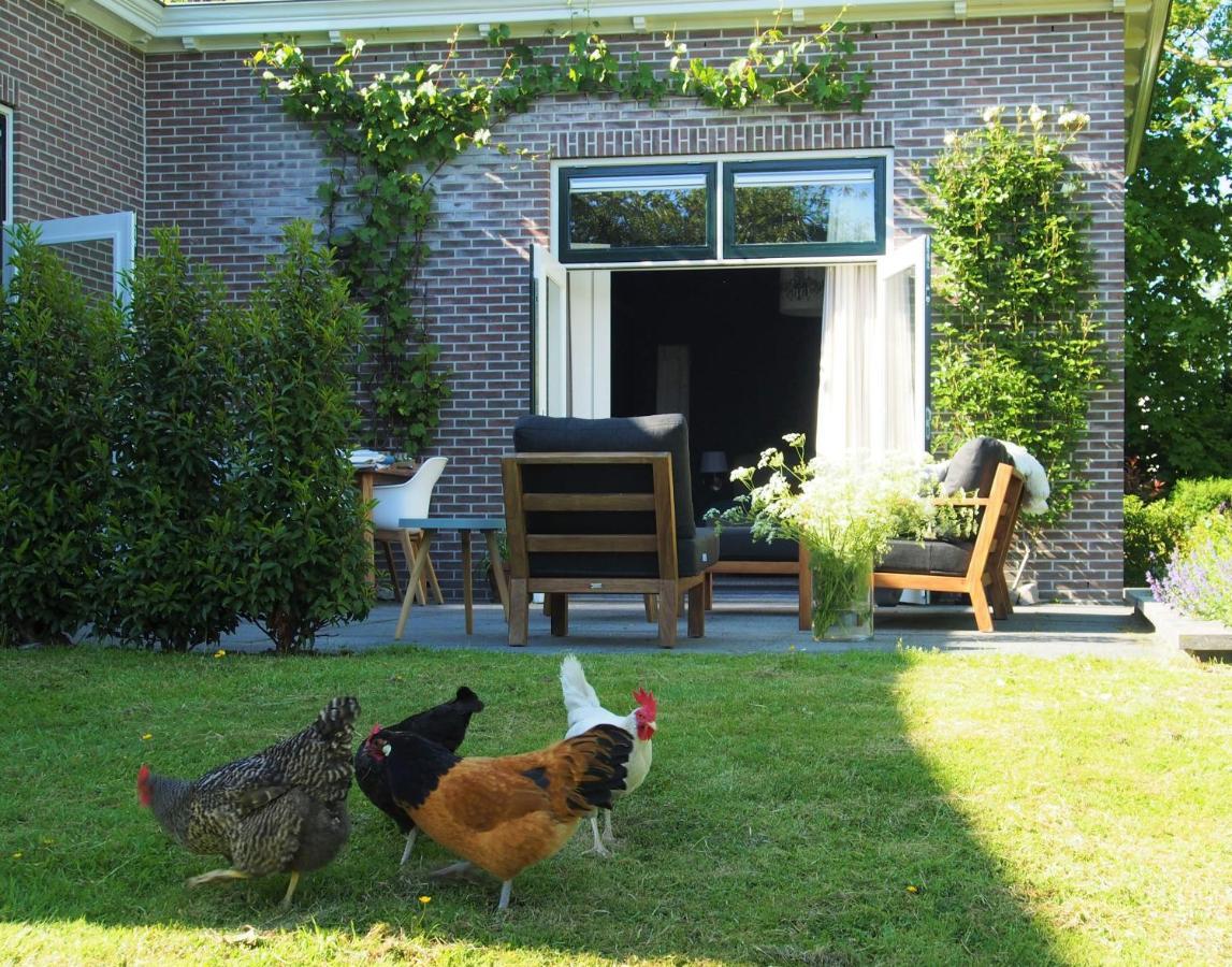 De Oude Dokterspraktijk Apartment Zuidhorn ภายนอก รูปภาพ